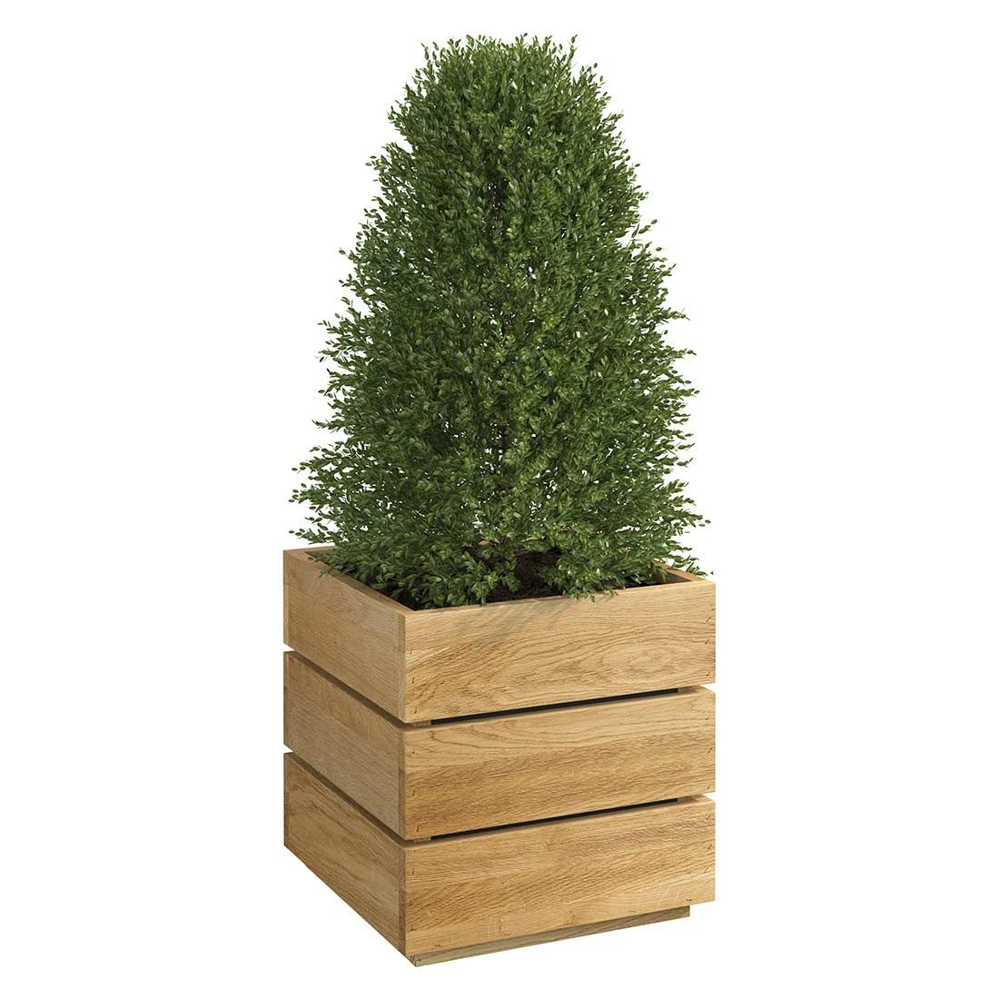 OUTLIV. Flora Pflanzgefäß 40x41x39cm Wildeiche